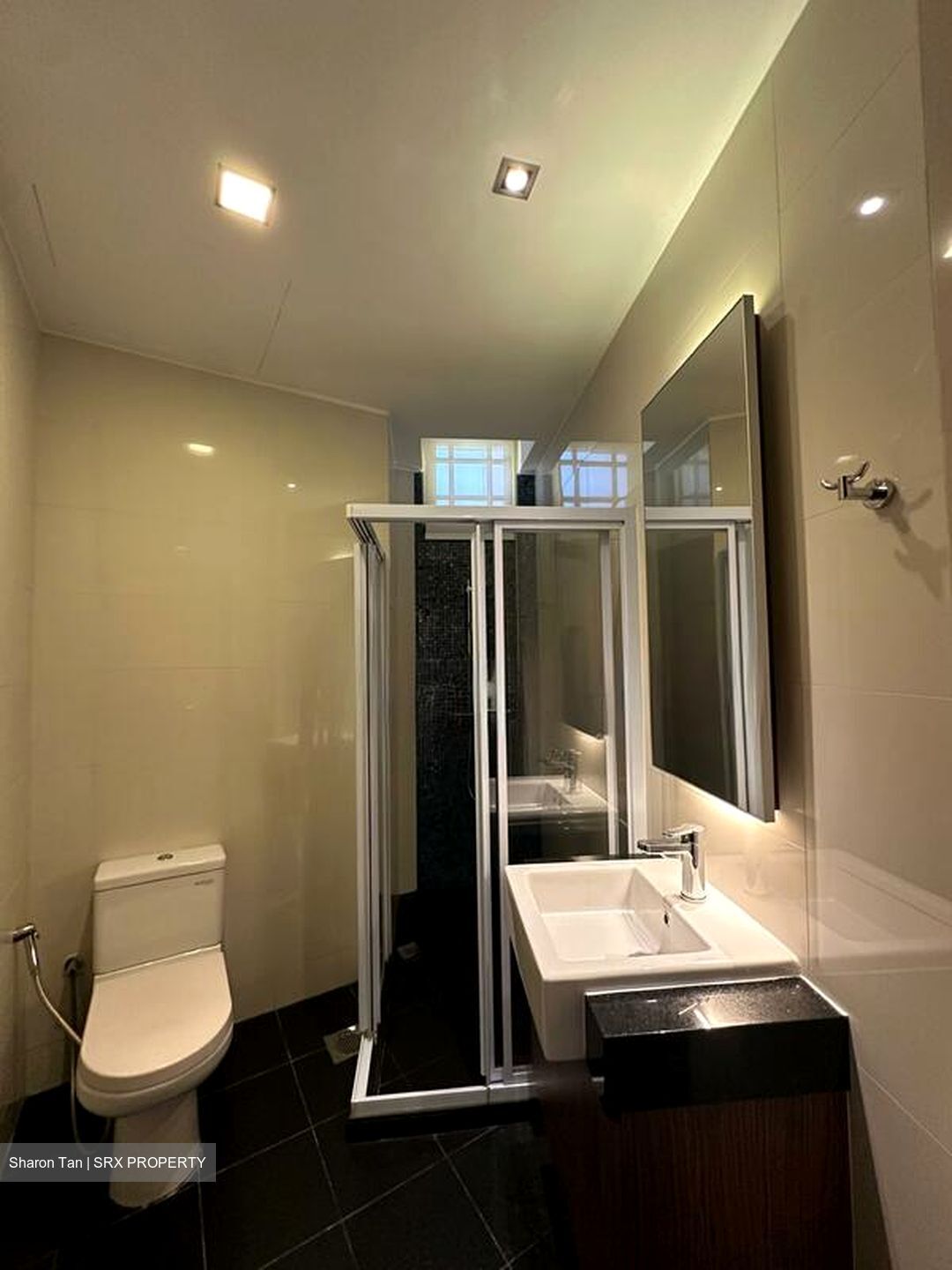 Orange Regency (D10), Apartment #519855101